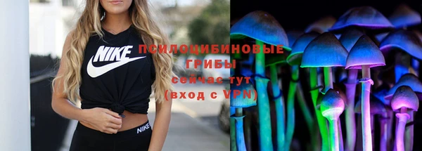трава Богданович